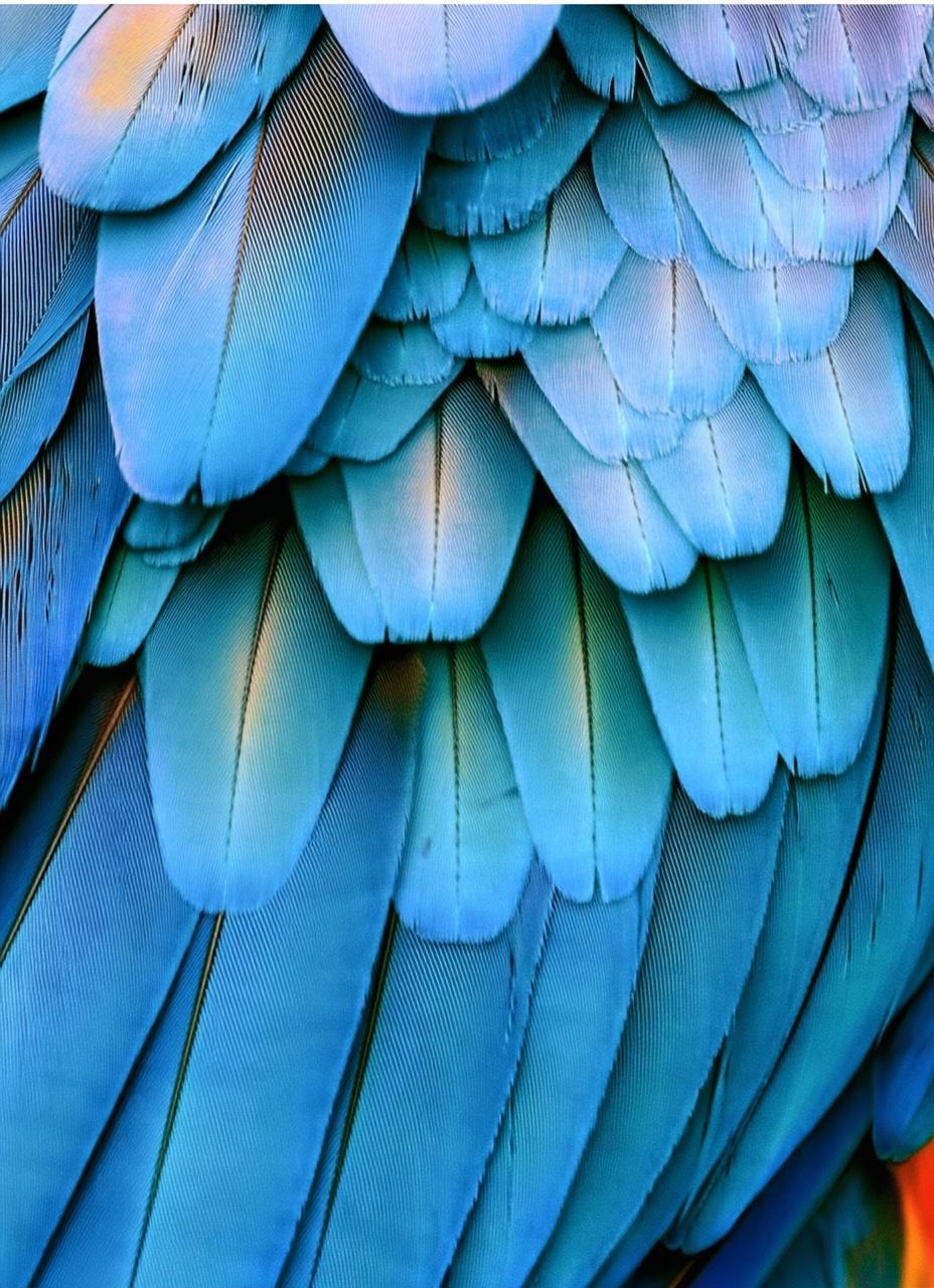 Blue feather artwork